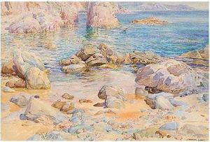 Blanes Blanes