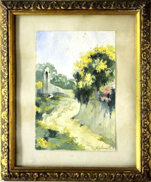 Paisaje - view 1