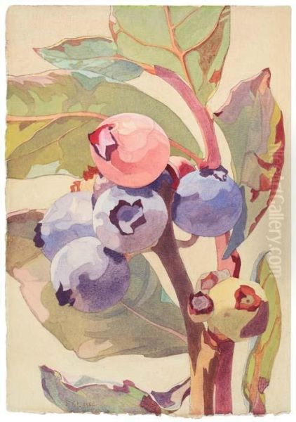 Blueberries - view 1