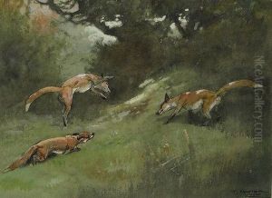 Foxes At Play by Thomas Ivester Lloyd