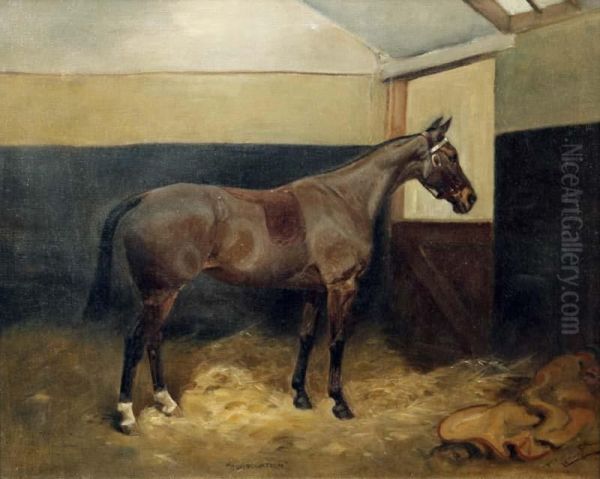 Horse In A Stable - view 1