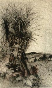 On The Titirangi Hills by Trevor Lloyd