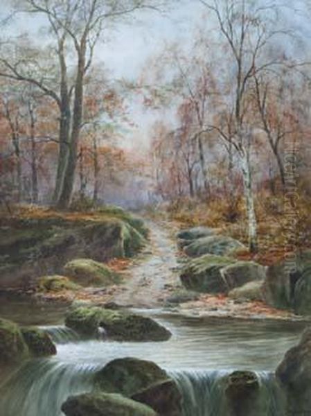 Woodland Stream - view 1