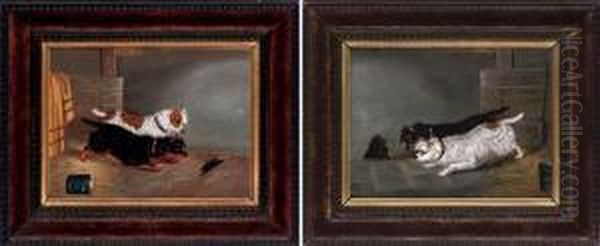 The Hole In The Wall; And An Escape Through The Floorboards - view 1