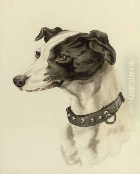Portrait Of A Whippet - view 1