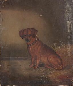 A Seated Dachshund