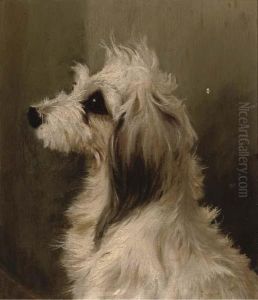 A Long-haired White Terrier
