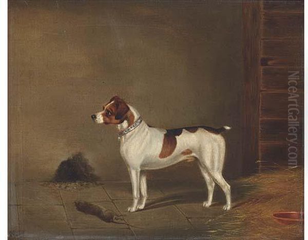 Success, A Terrier - view 1
