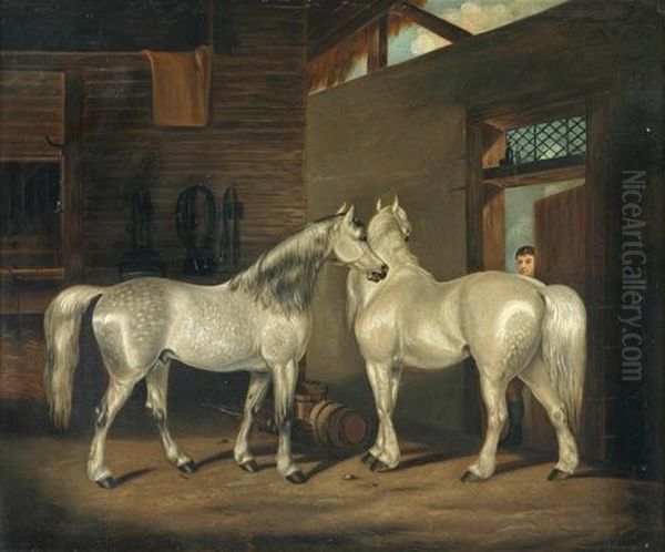 Two Greys In A Stable - view 1