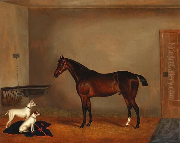 Bay Hunter And Two Terriers In A Stable - view 1