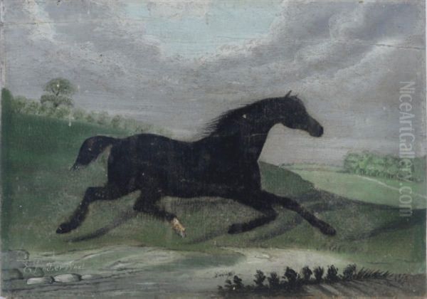 A Black Horse Trotting Through The Landscape - view 1