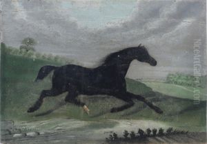 A Black Horse Trotting Through The Landscape