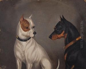Two Terriers