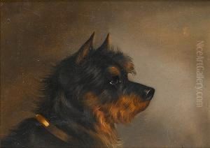 A Black And Tan Terrier And A White Terrier