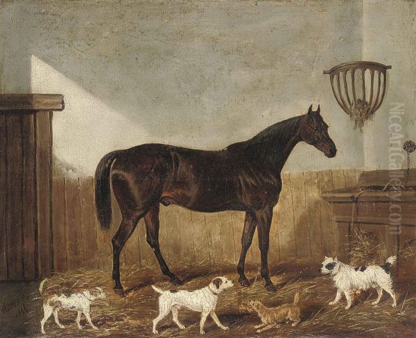 A Favourite Hunter And Terriers In A Stable - view 1