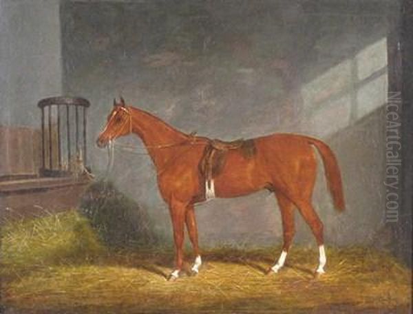 Bay Horse In A Stable - view 1