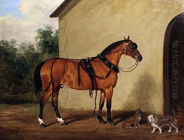 A Carriage Horse With Two Terriers In A Yard - view 1
