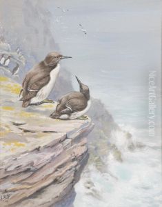 Guillemots by George Edward Lodge