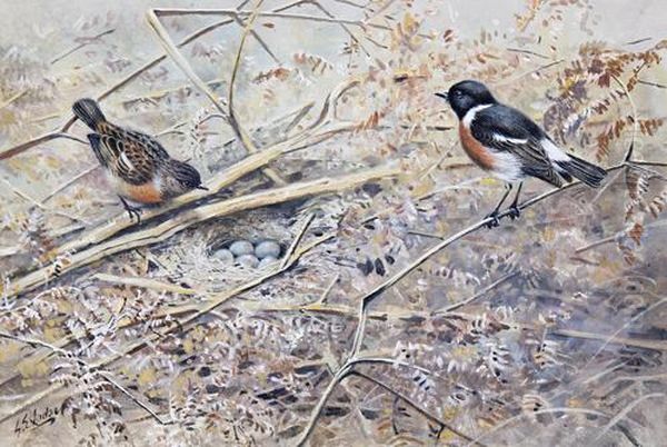 Stonechats - view 1