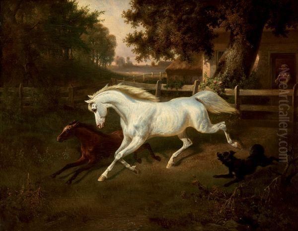 Chevaux - view 1