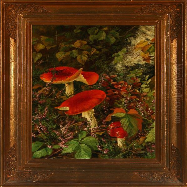 Forest Scenery With Mushrooms - view 1