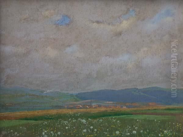 Paisaje De Campo - view 1