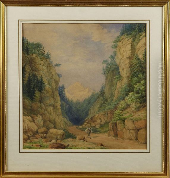 Alplandskap Med Vandrare - view 1