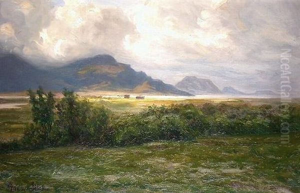 Fjordlandskap - view 1