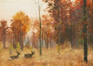 Deer In A Forest by Stanislav Lolek