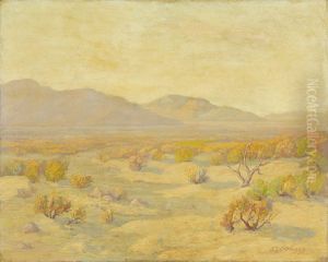 Southwestern Landscape