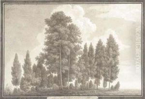 Sal Trees In The North Of Rohilcund by Thomas Longcroft