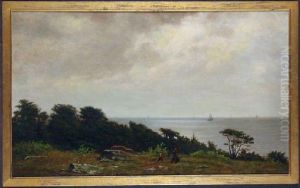 Gathering Branches, Nahant