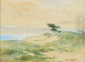 Lone Tree by Mary King Longfellow