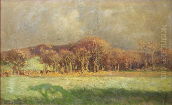In The Shade Of The Trees - view 1