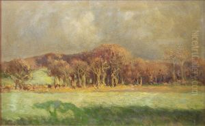 In The Shade Of The Trees by Joseph Longhurst