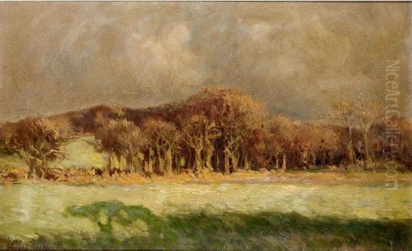 The Edge Of The Wood - view 1