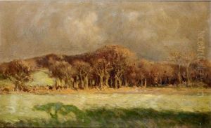 The Edge Of The Wood by Joseph Longhurst