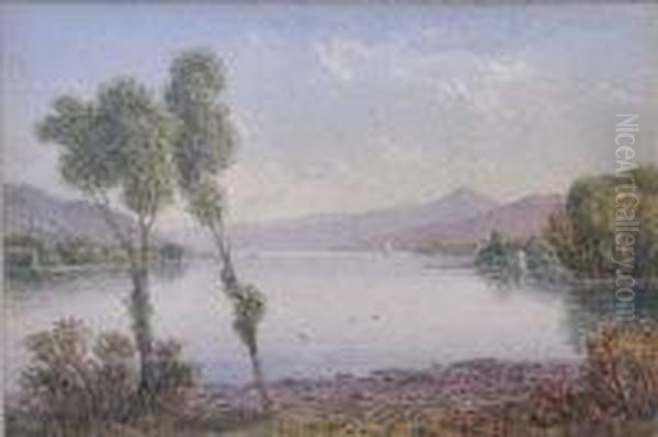 Coniston Lake - view 1