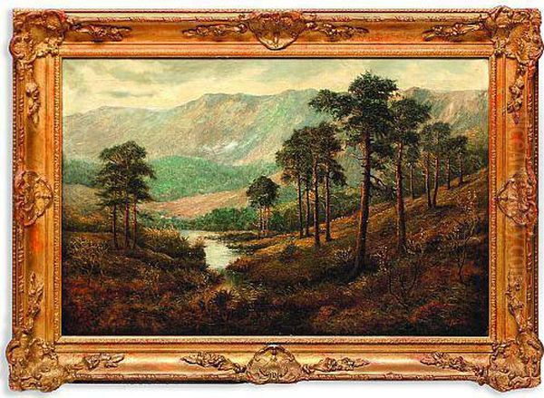 Paisaje Boscoso - view 1