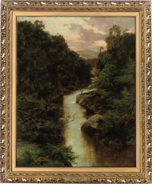 The Pass At Killiecrankie - view 1
