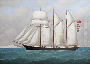 The 'sara Lightfoot' Off The Coast by John Frederick Loos