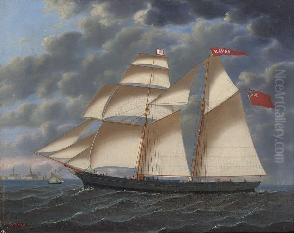 The Brigantine
Raven - view 1