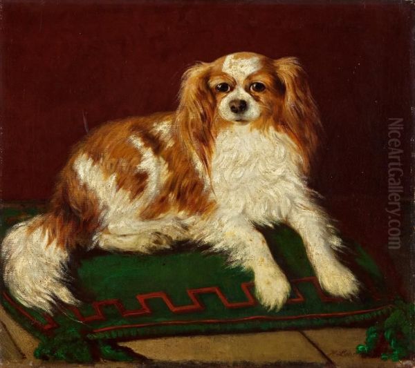King-charles-spaniel - view 1
