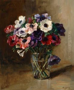 Still Life With Anemone