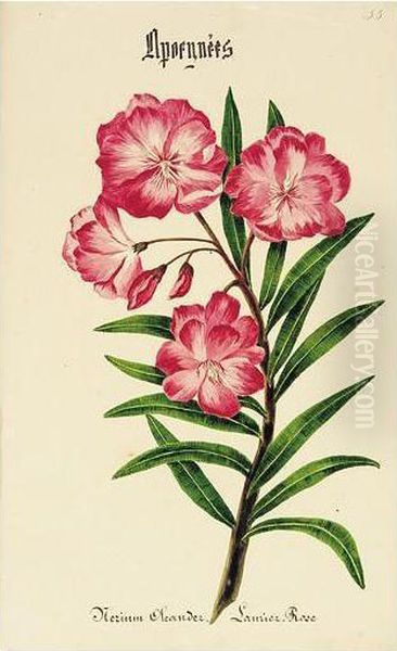 ````````````````bermudian Flowers'' - view 1