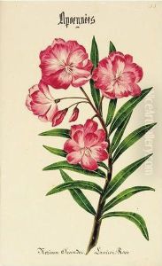 ````````````````bermudian Flowers'' ````````````````bermudian Flowers''