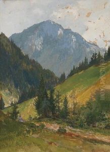 Blick Auf Den Otscher