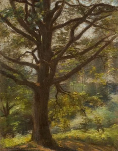 Paisaje Con Arboles - view 1