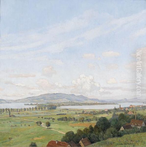 Sommerliche Ansicht Der Insel Reichenau - view 1