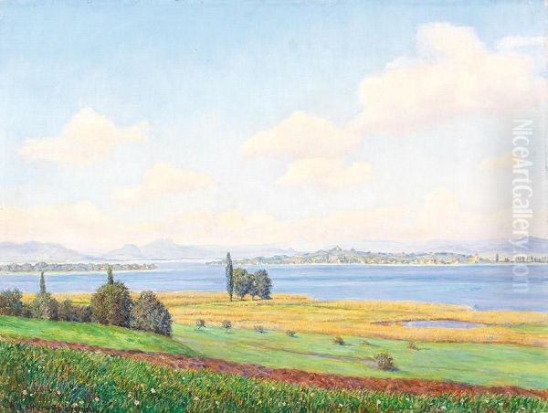 Bodenseelandschaft Mit Blick Auf Die Insel Reichenau An Einem Sonnigen Sommertag - view 1